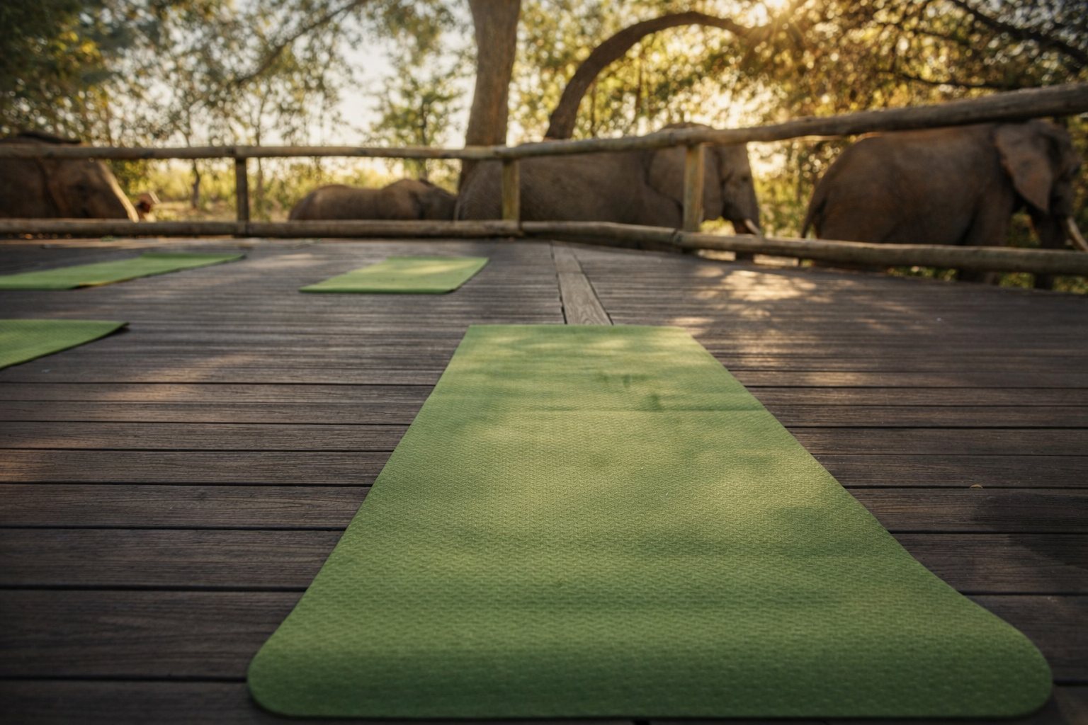 Yoga mats on a deck near the salt pans