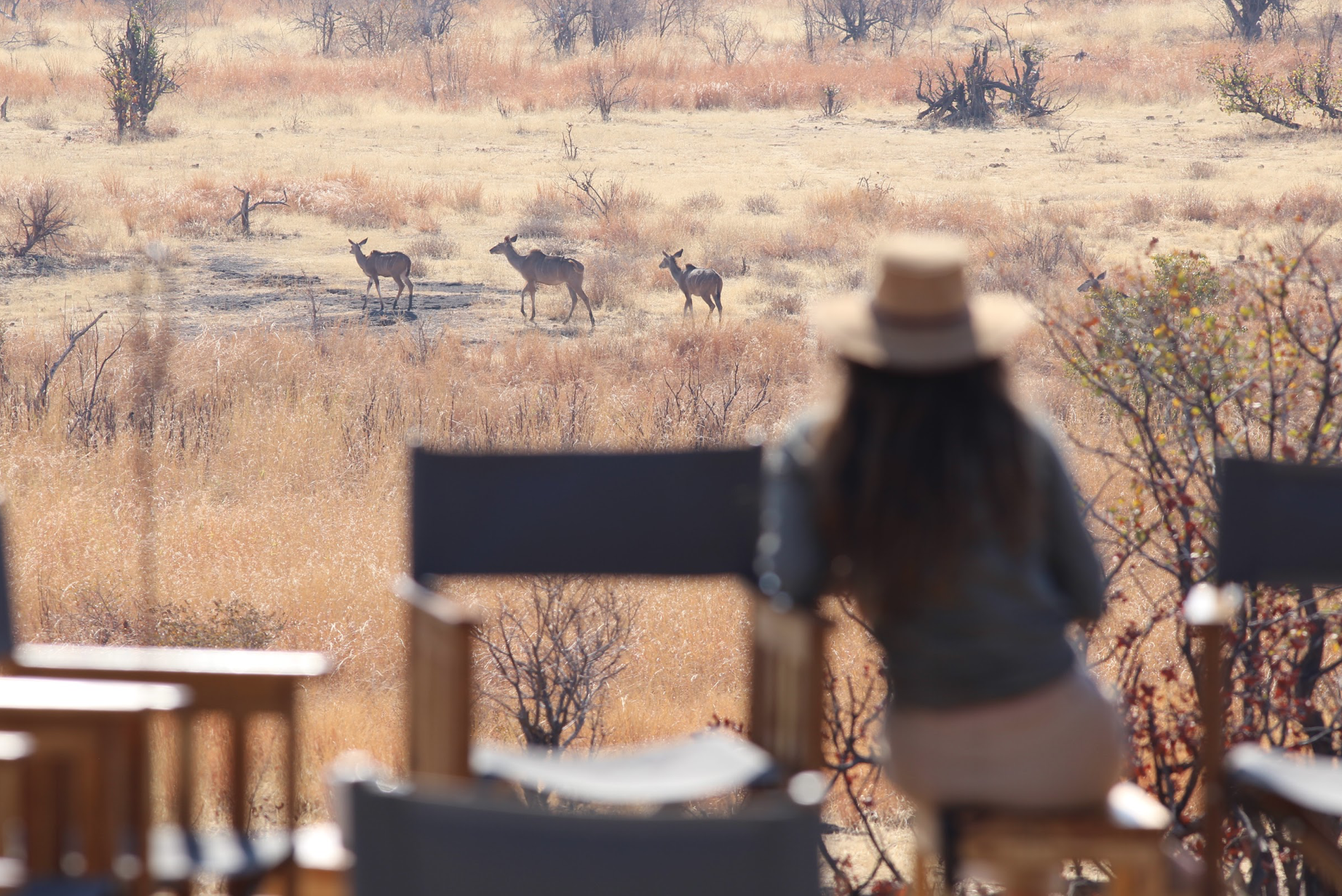 Chair pose overlooking a golden grassy plain at sunrise
