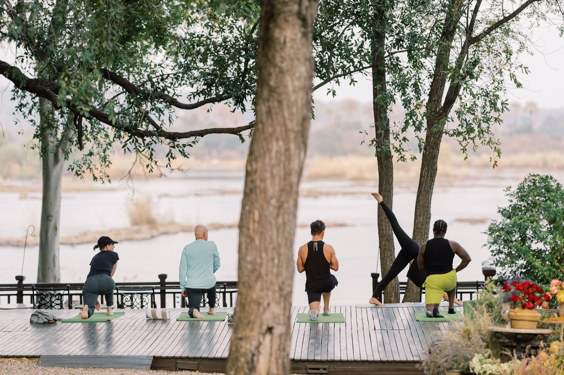 Group in a line of downward dog poses on a wooden deck