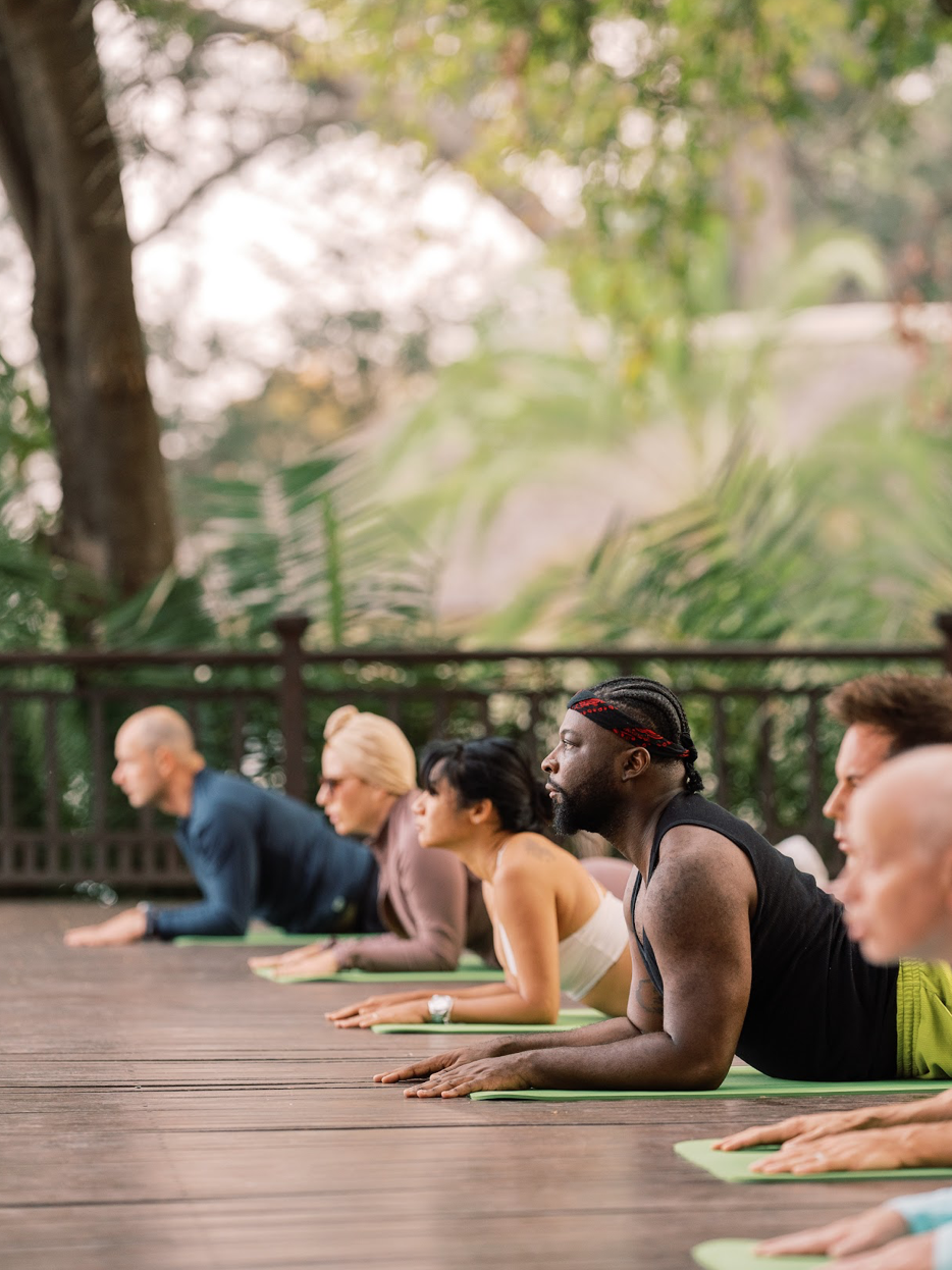 Group holding plank pose on a deck under trees