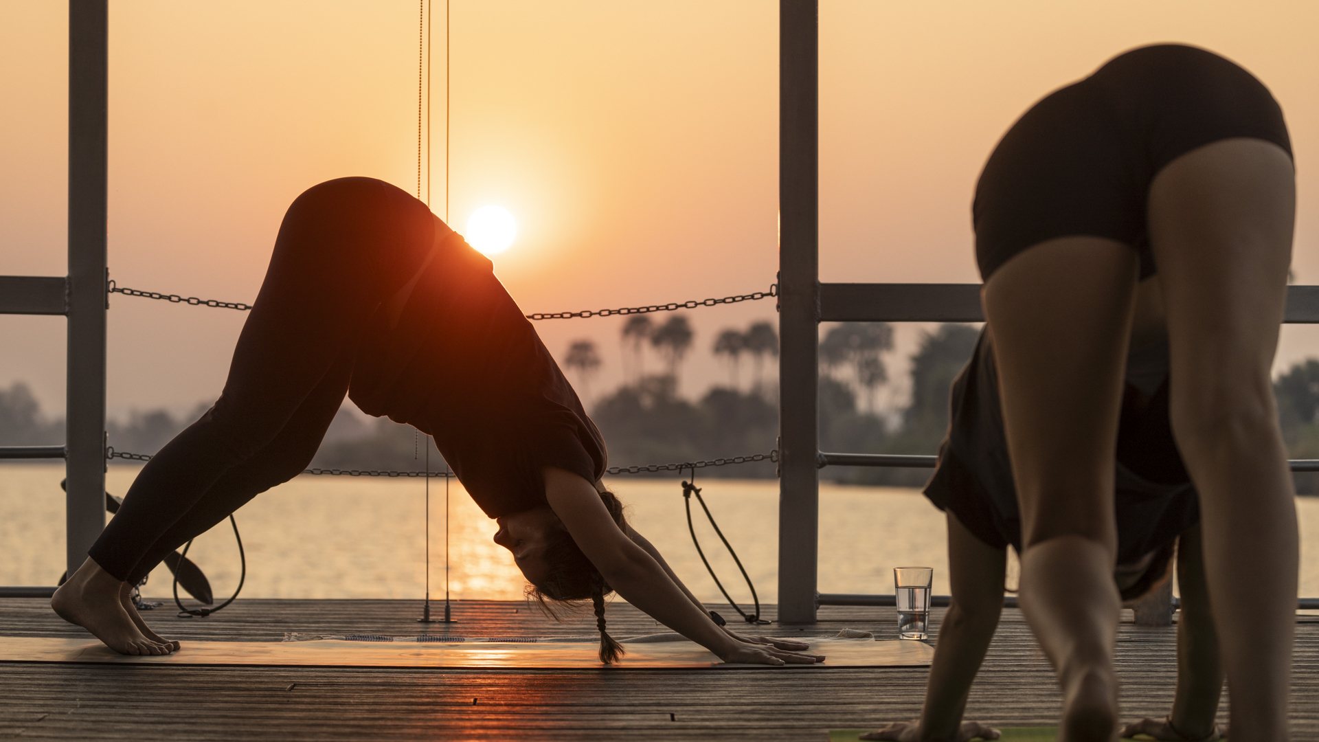 Downward dog silhouette on the river deck